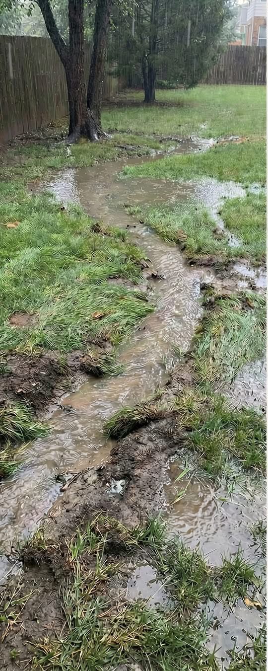 Before: standing water routed through yard before creek bed drainage install.
