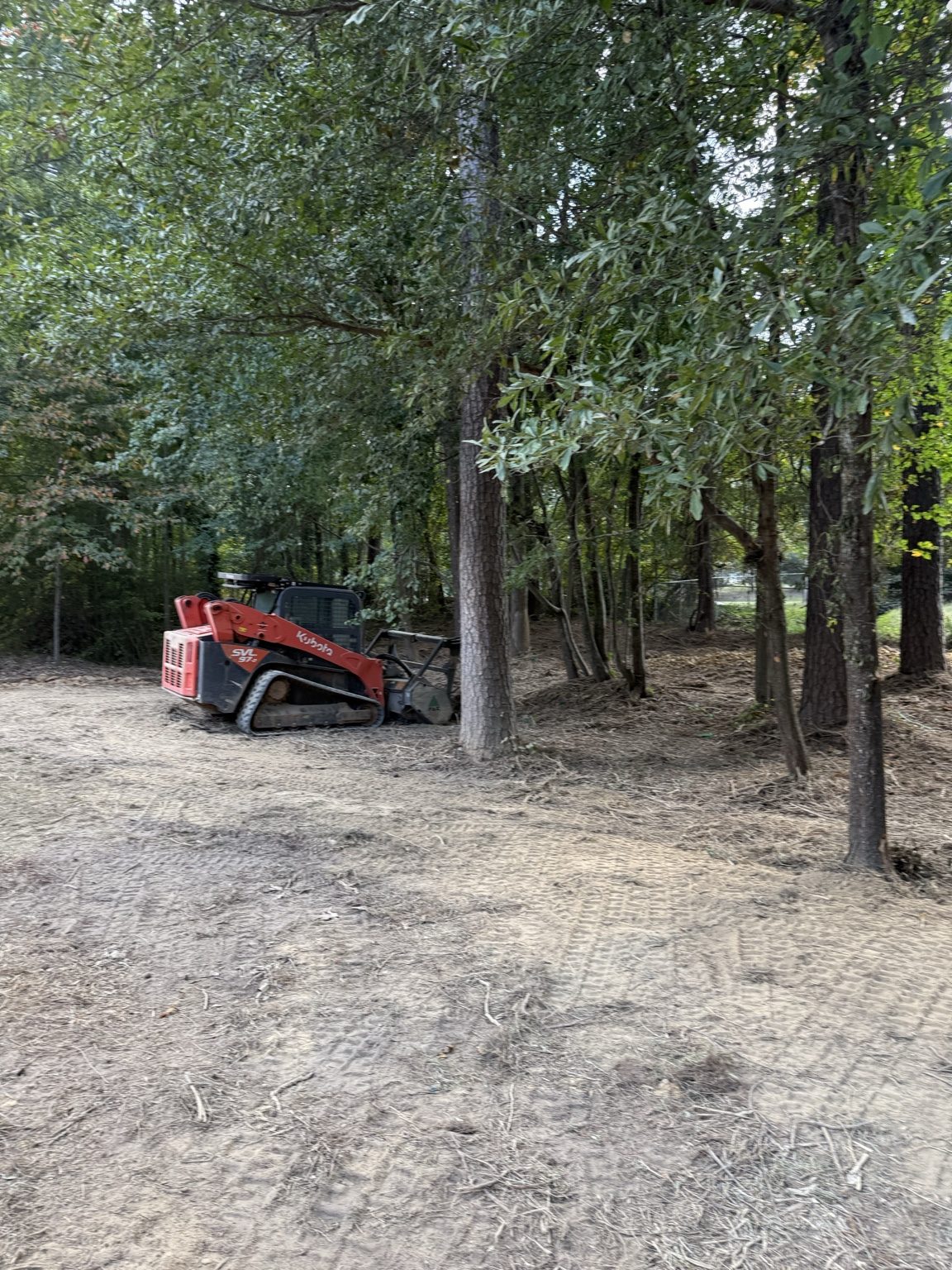 After: mulched and cleaned work area ready for use.