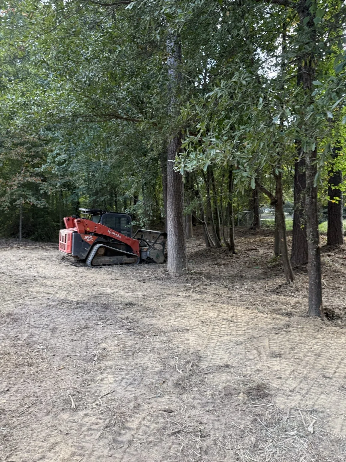 After: mulched and cleaned work area ready for use.
